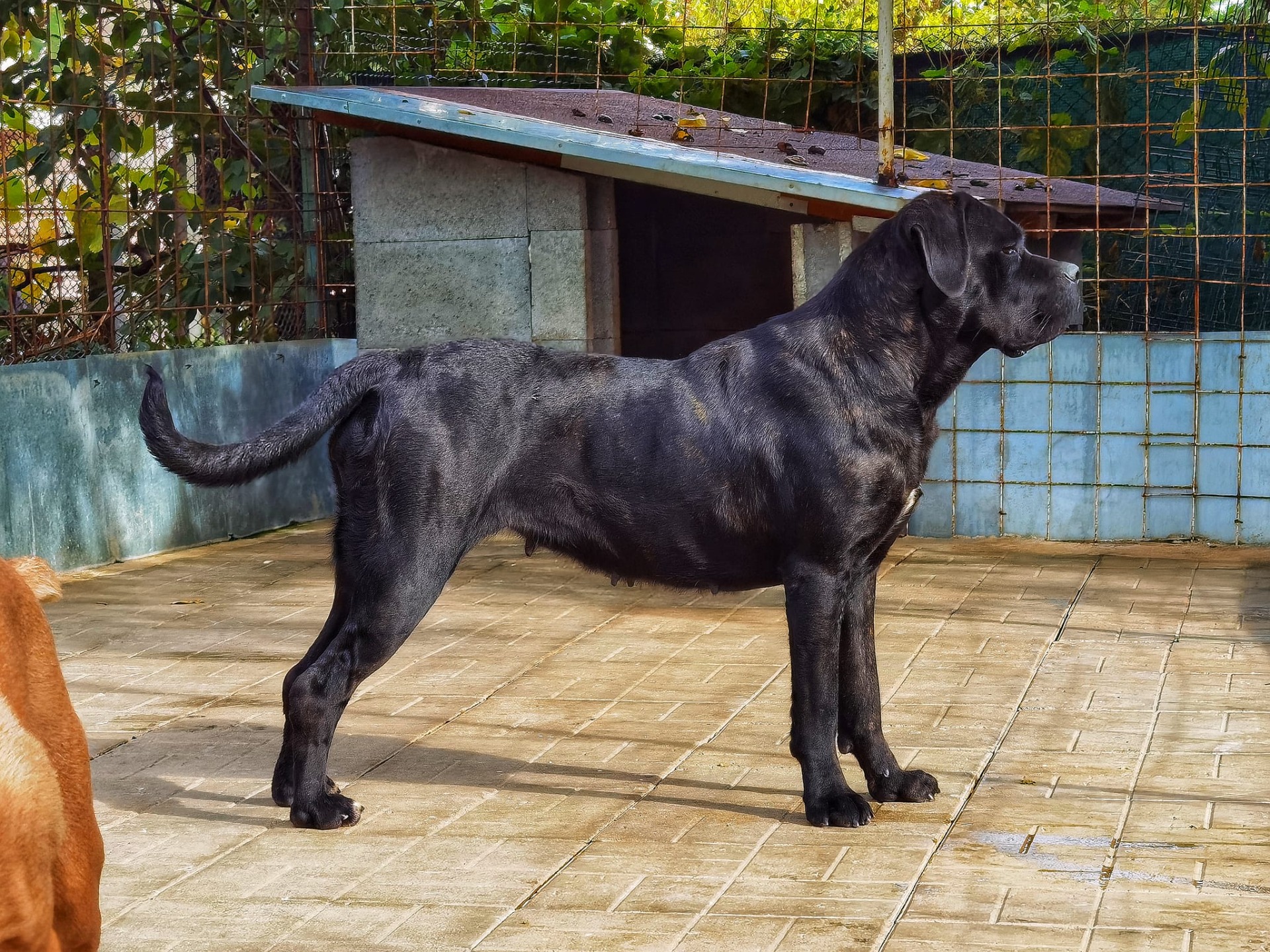 FI CH Unicita Valenti Guerrieri